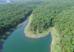 Owner Financed Hunting and Recreational Land in Missouri and Arkansas