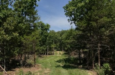 Owner Financed Hunting and Recreational Land in Missouri and Arkansas