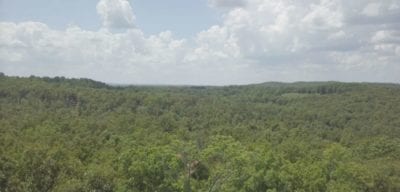 Owner Financed Hunting and Recreational Land in Missouri and Arkansas