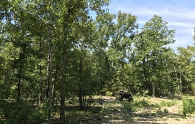 Owner Financed Hunting and Recreational Land in Missouri and Arkansas