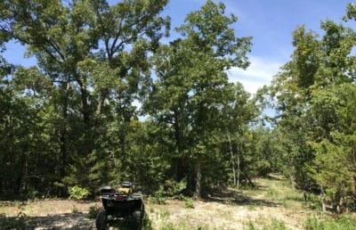 Owner Financed Hunting and Recreational Land in Missouri and Arkansas